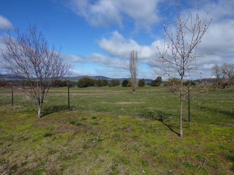 2637 Jingellic Road, Tumbarumba NSW 2653