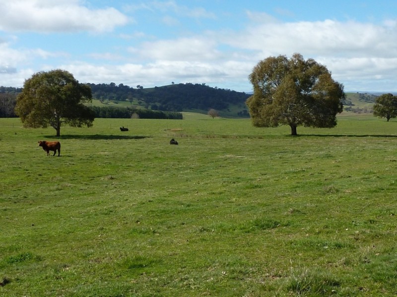 2637 Jingellic Road, Tumbarumba NSW 2653