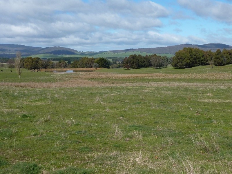 2637 Jingellic Road, Tumbarumba NSW 2653