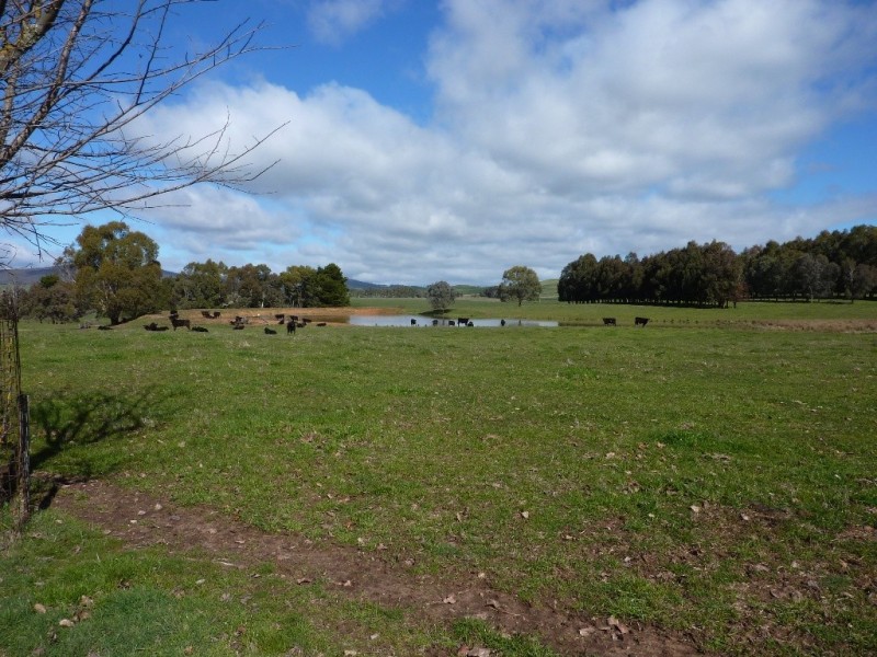 2637 Jingellic Road, Tumbarumba NSW 2653