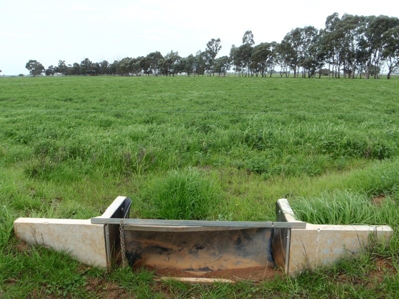 136 Lakers Road, Blighty NSW 2713