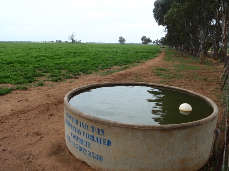 136 Lakers Road, Blighty NSW 2713