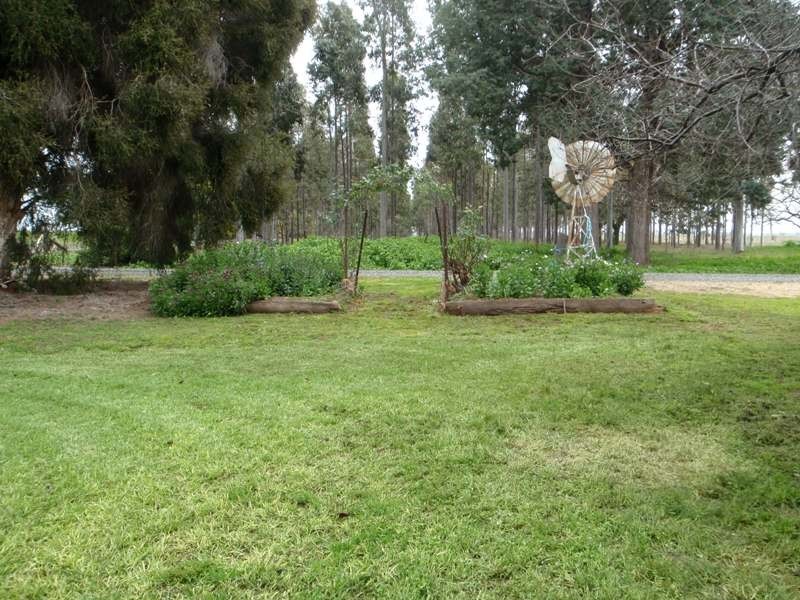 136 Lakers Road, Blighty NSW 2713