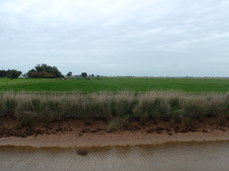 136 Lakers Road, Blighty NSW 2713