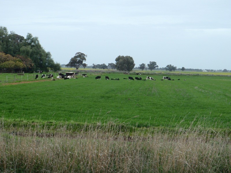 136 Lakers Road, Blighty NSW 2713