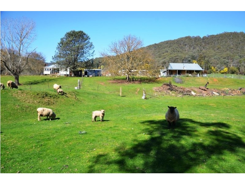 614 Morses Creek Road, Wandiligong VIC 3744