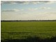Farm 1863 McCracken Road, Leeton NSW 2705