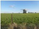 Farm 1863 McCracken Road, Leeton NSW 2705