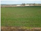 “Midgee” Leeton – Narrandera Rd, Narrandera NSW 2700