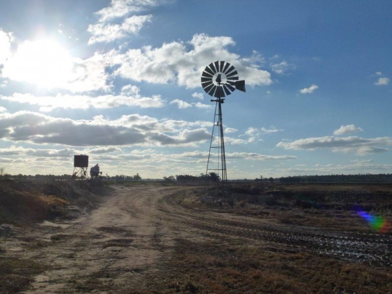 “Midgee” Leeton – Narrandera Rd, Narrandera NSW 2700
