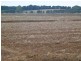 “Midgee” Leeton – Narrandera Rd, Narrandera NSW 2700