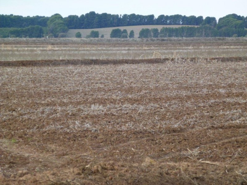 “Midgee” Leeton – Narrandera Rd, Narrandera NSW 2700
