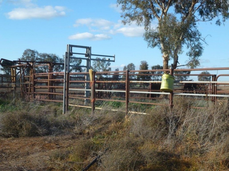 “Midgee” Leeton – Narrandera Rd, Narrandera NSW 2700