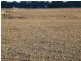 “Midgee” Leeton – Narrandera Rd, Narrandera NSW 2700