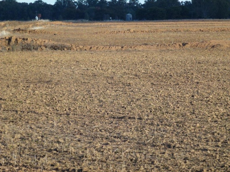 “Midgee” Leeton – Narrandera Rd, Narrandera NSW 2700