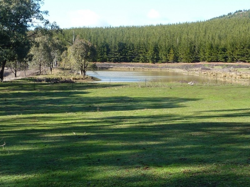 3777 Tumbarumba Road, Carabost via, Wagga Wagga NSW 2650