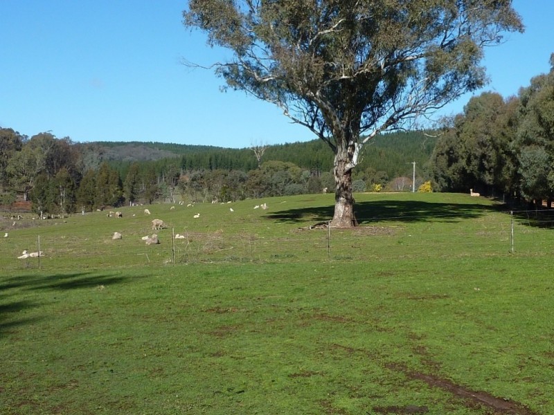 3777 Tumbarumba Road, Carabost via, Wagga Wagga NSW 2650