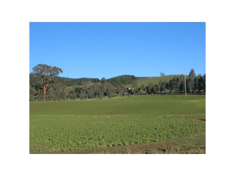 3777 Tumbarumba Road, Carabost via, Wagga Wagga NSW 2650
