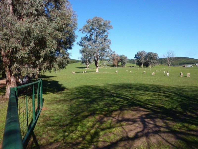 3777 Tumbarumba Road, Carabost via, Wagga Wagga NSW 2650