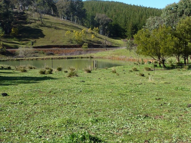 3777 Tumbarumba Road, Carabost via, Wagga Wagga NSW 2650