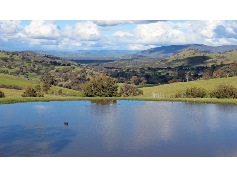 “Water Rings” Huon Creek, Wodonga VIC 3690