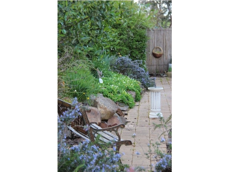 “Water Rings” Huon Creek, Wodonga VIC 3690