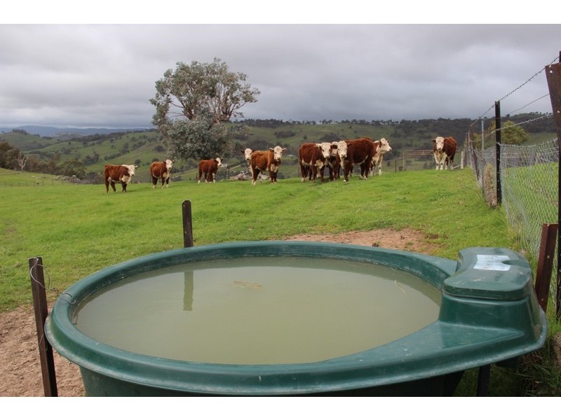 “Water Rings” Huon Creek, Wodonga VIC 3690