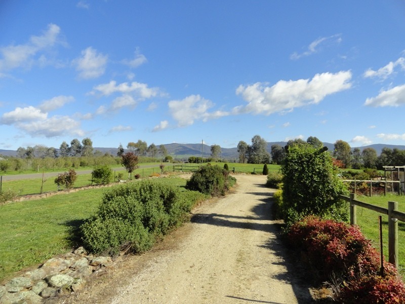 15 Flynns Lane, Osbornes Flat VIC 3691