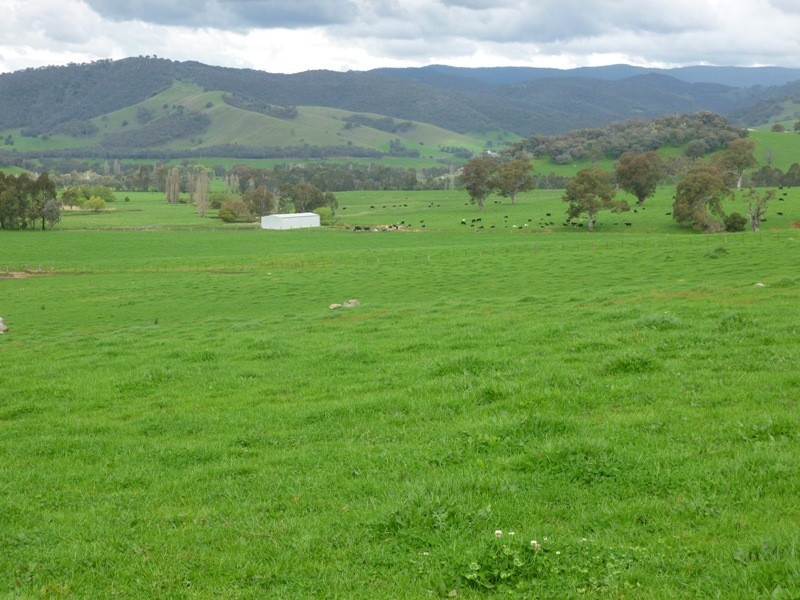 “Narooma” River Road, Jingellic NSW 2642