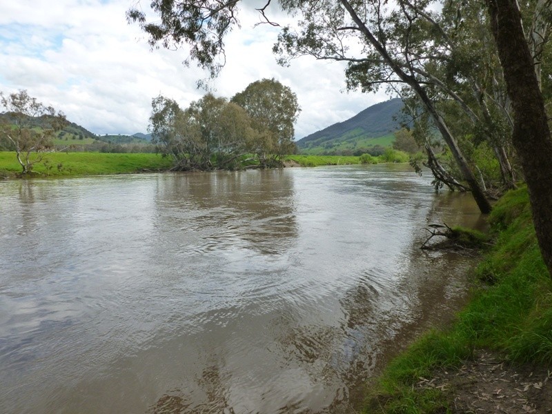 “Narooma” River Road, Jingellic NSW 2642