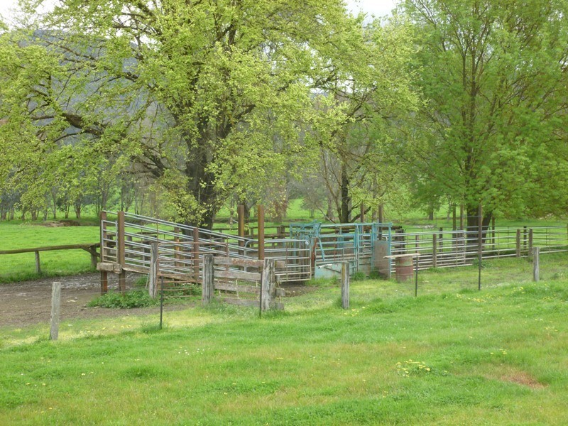 “Narooma” River Road, Jingellic NSW 2642