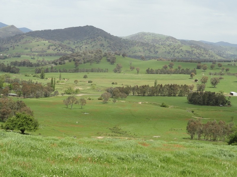 “Narooma” River Road, Jingellic NSW 2642