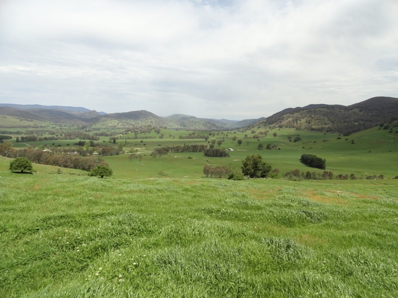 “Narooma” River Road, Jingellic NSW 2642