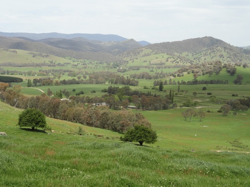 “Narooma” River Road, Jingellic NSW 2642