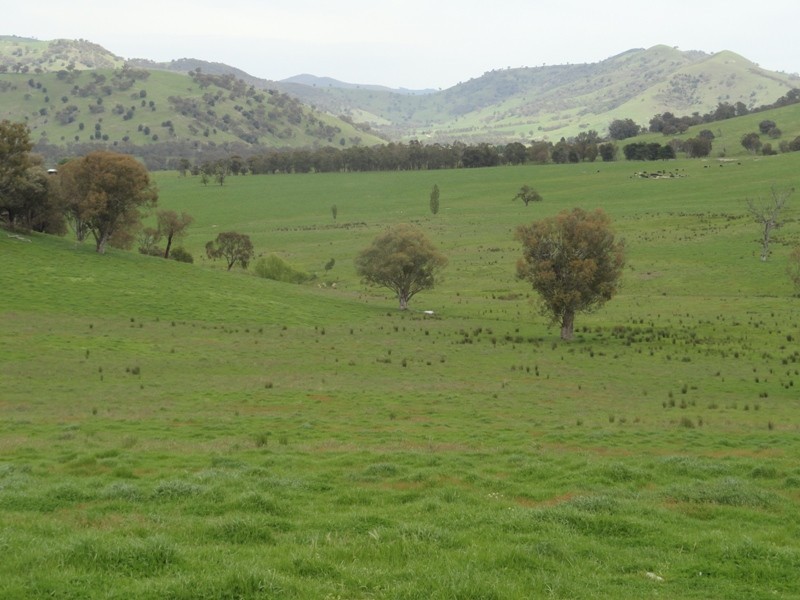 “Narooma” River Road, Jingellic NSW 2642