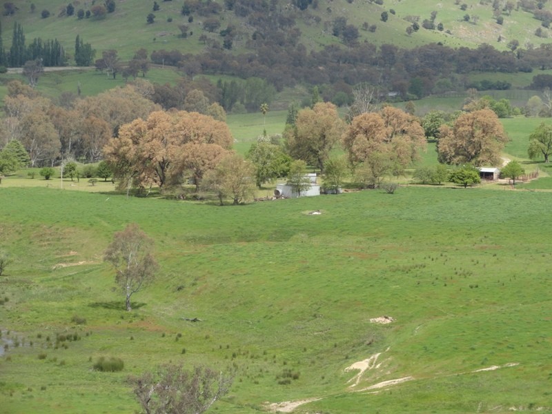 “Narooma” River Road, Jingellic NSW 2642