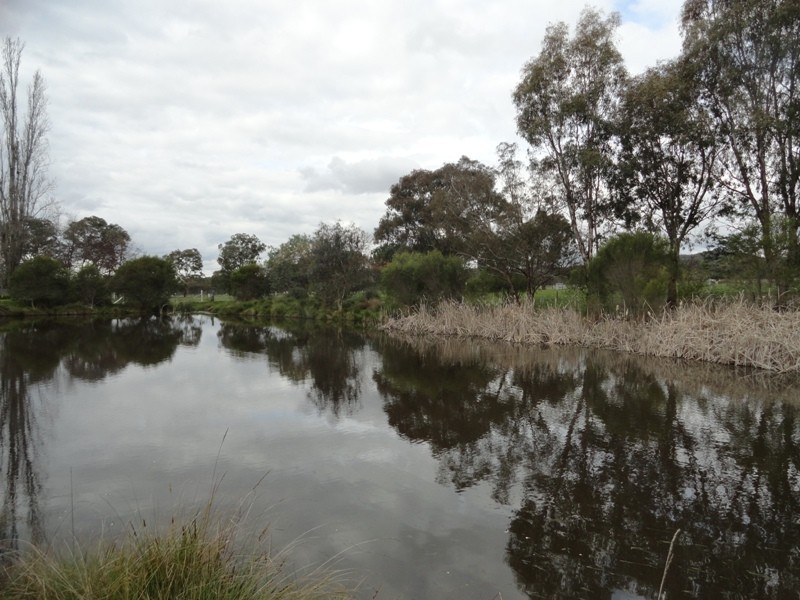 373 Toveys Road, Chiltern VIC 3683