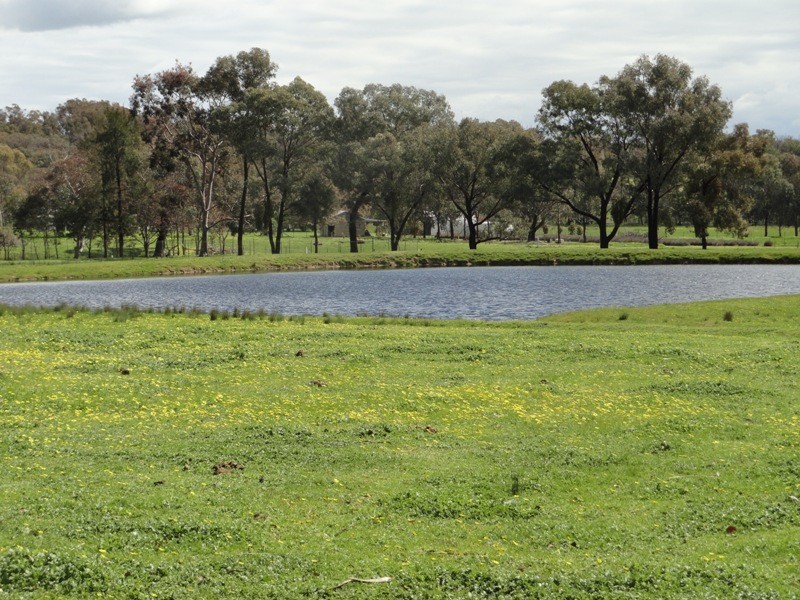 373 Toveys Road, Chiltern VIC 3683