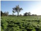 “Gibbs and CRB” Lincoln Causeway, Albury NSW 2640
