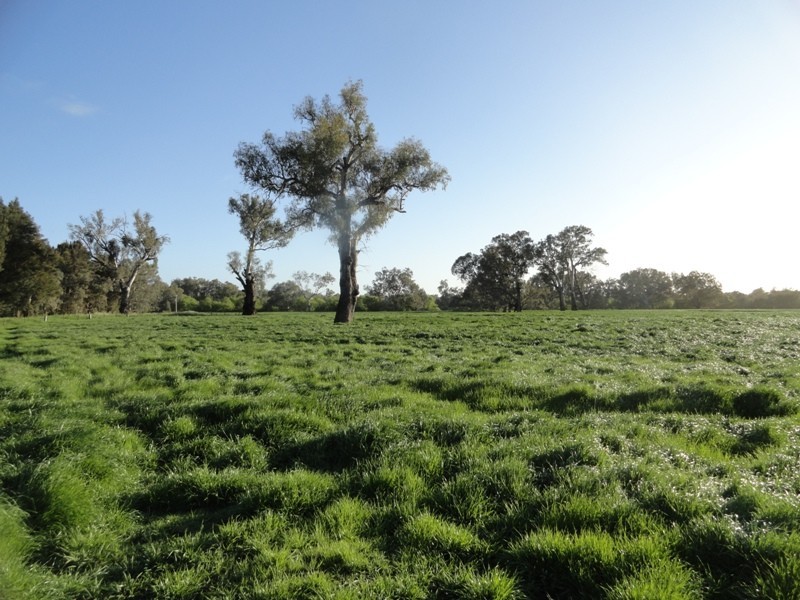 “Gibbs and CRB” Lincoln Causeway, Albury NSW 2640