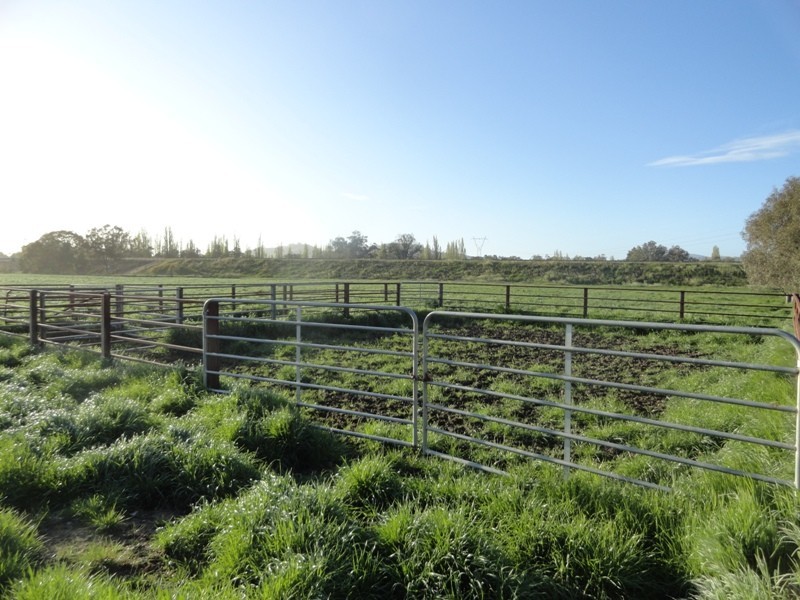 “Gibbs and CRB” Lincoln Causeway, Albury NSW 2640