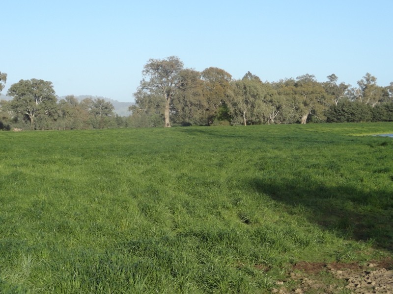 “Gibbs and CRB” Lincoln Causeway, Albury NSW 2640