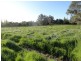 “Gibbs and CRB” Lincoln Causeway, Albury NSW 2640