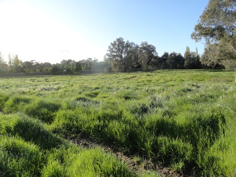 “Gibbs and CRB” Lincoln Causeway, Albury NSW 2640