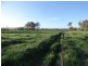“Gibbs and CRB” Lincoln Causeway, Albury NSW 2640