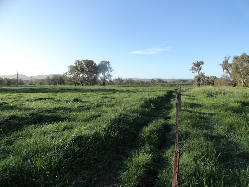 “Gibbs and CRB” Lincoln Causeway, Albury NSW 2640