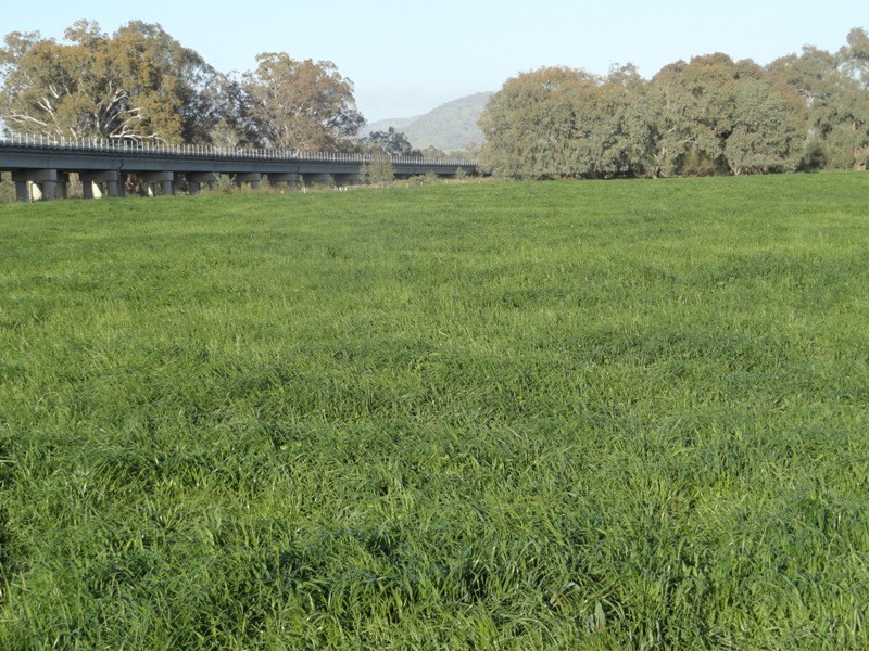 “Gibbs and CRB” Lincoln Causeway, Albury NSW 2640