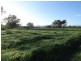 “Gibbs and CRB” Lincoln Causeway, Albury NSW 2640