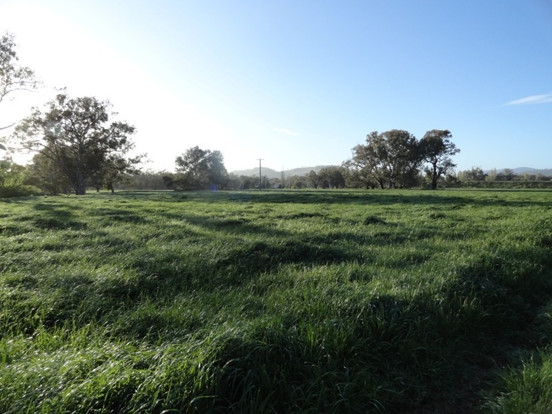 “Gibbs and CRB” Lincoln Causeway, Albury NSW 2640