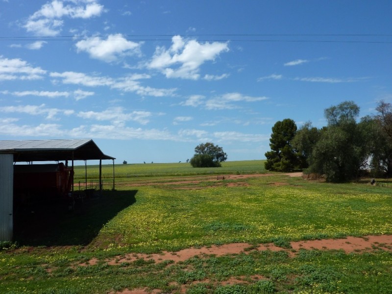 862 Gawnes Road, Grong Grong, Narrandera NSW 2700